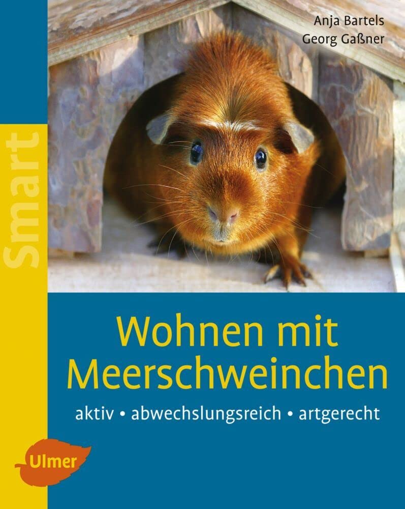 Wohnen mit Meerschweinchen Pets