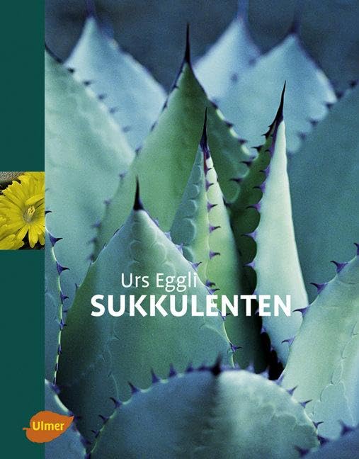 Sukkulenten Garden & Plants
