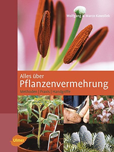 Alles über Pflanzenvermehrung: Methoden, Praxis, Handgriffe Garden & Plants