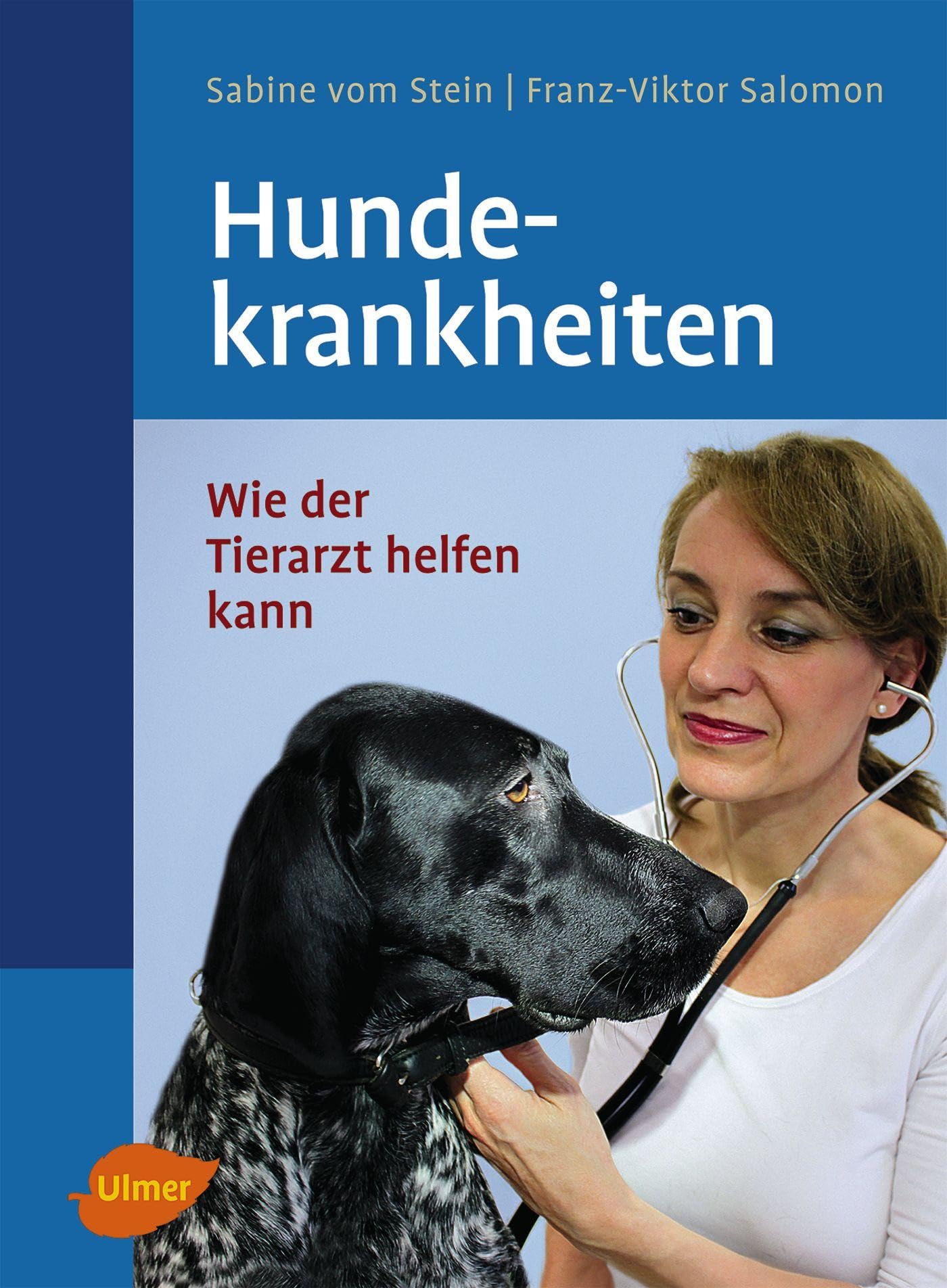 Hundekrankheiten: Wie der Tierarzt helfen kann (Veterinärmedizin) Pets