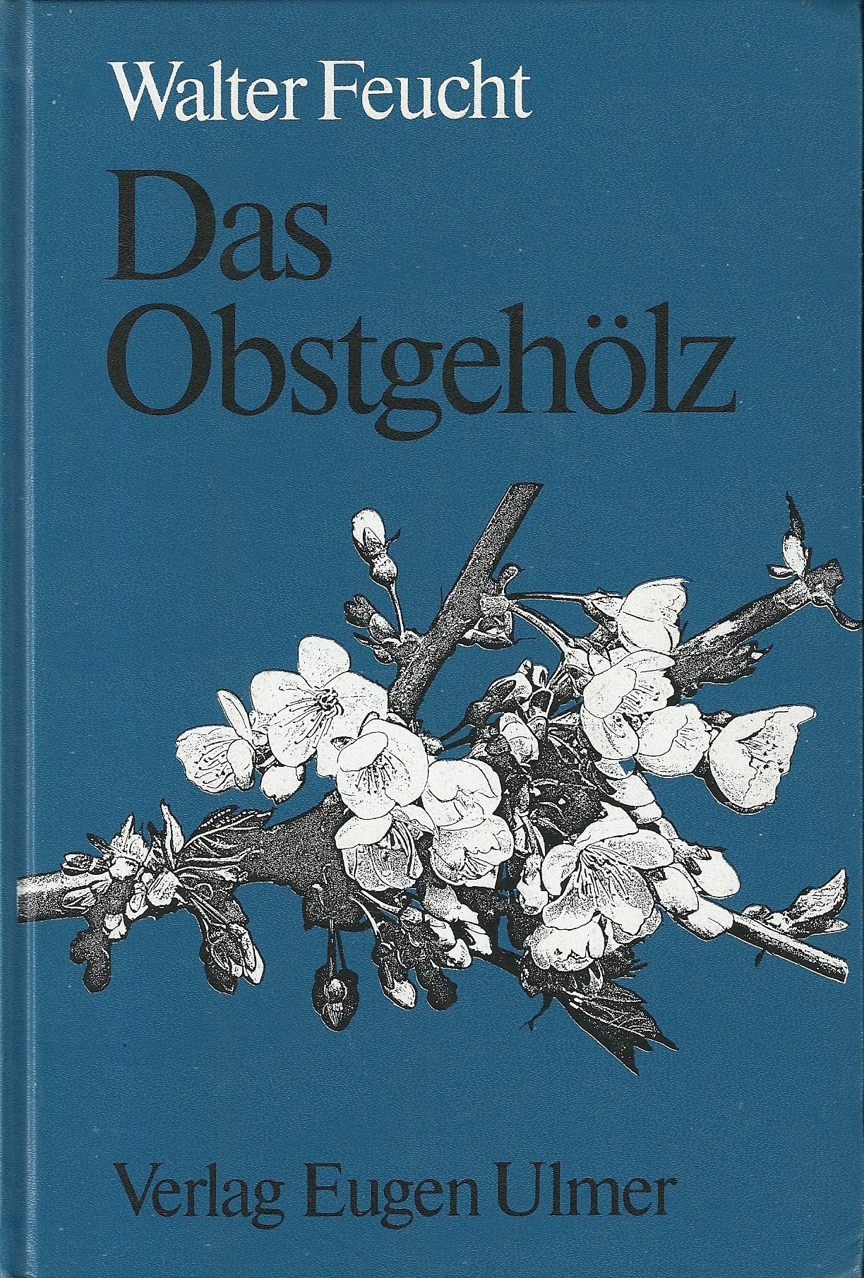 Das Obstgehölz - Anatomie und Physiologie des Sproßsystems: Anatomie und Physiologie des Sprosssystems Medicine