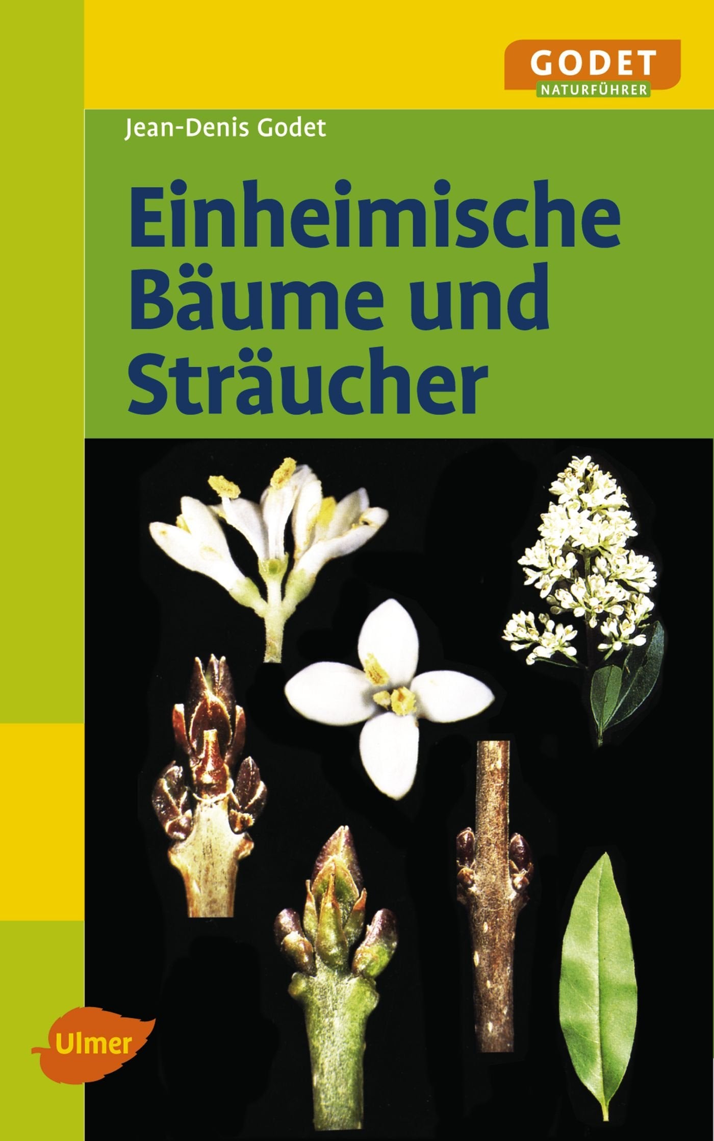 Einheimische Bäume und Sträucher Leisure, Home & Garden