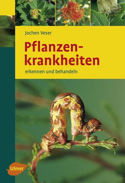 Pflanzenkrankheiten: Erkennen und behandeln Garden & Plants
