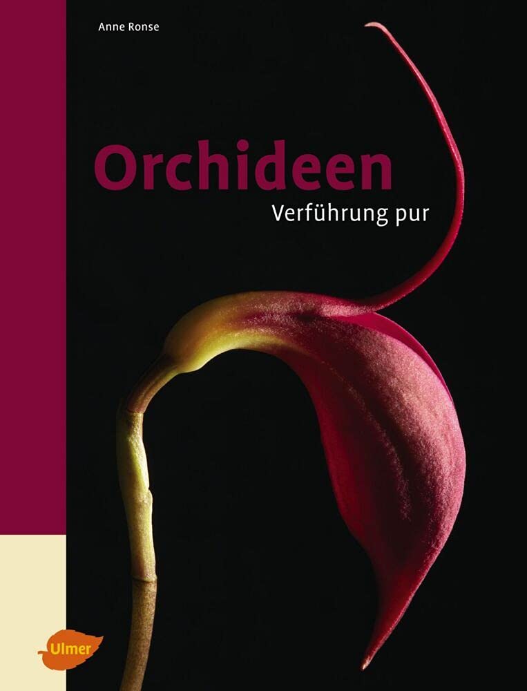 Orchideen Garden & Plants