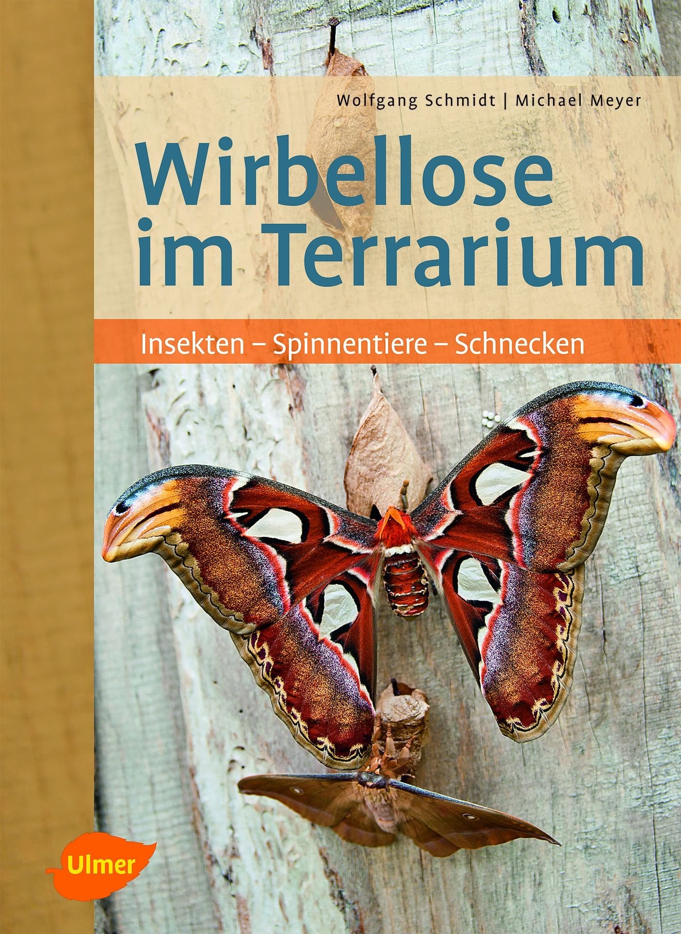 Wirbellose im Terrarium: Insekten - Spinnentiere - Schnecken Pets