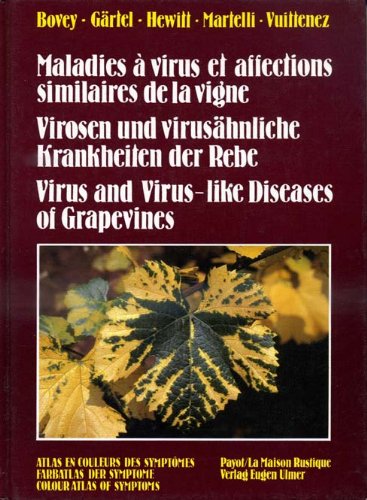 Maladies à virus et affections similaires de la vigne Medicine