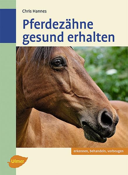 Pferdezähne gesund erhalten Pets