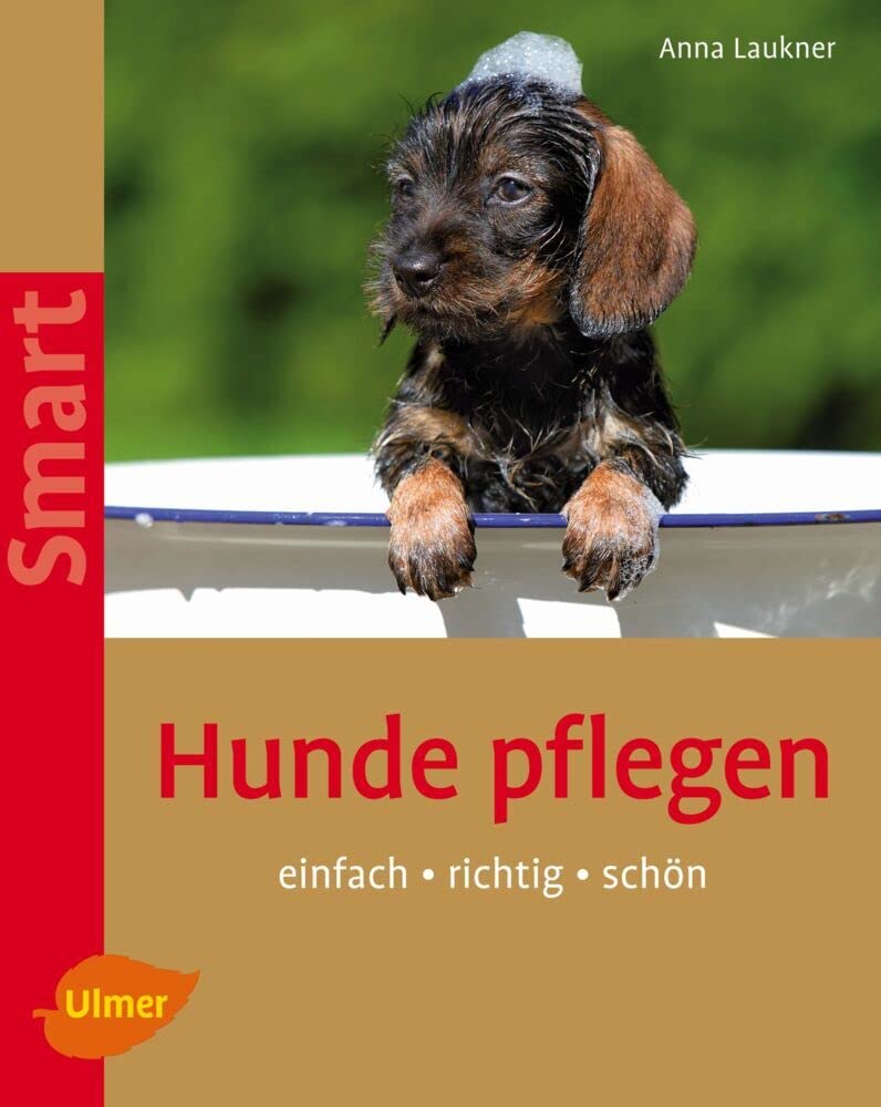 Hunde pflegen Books about Pets