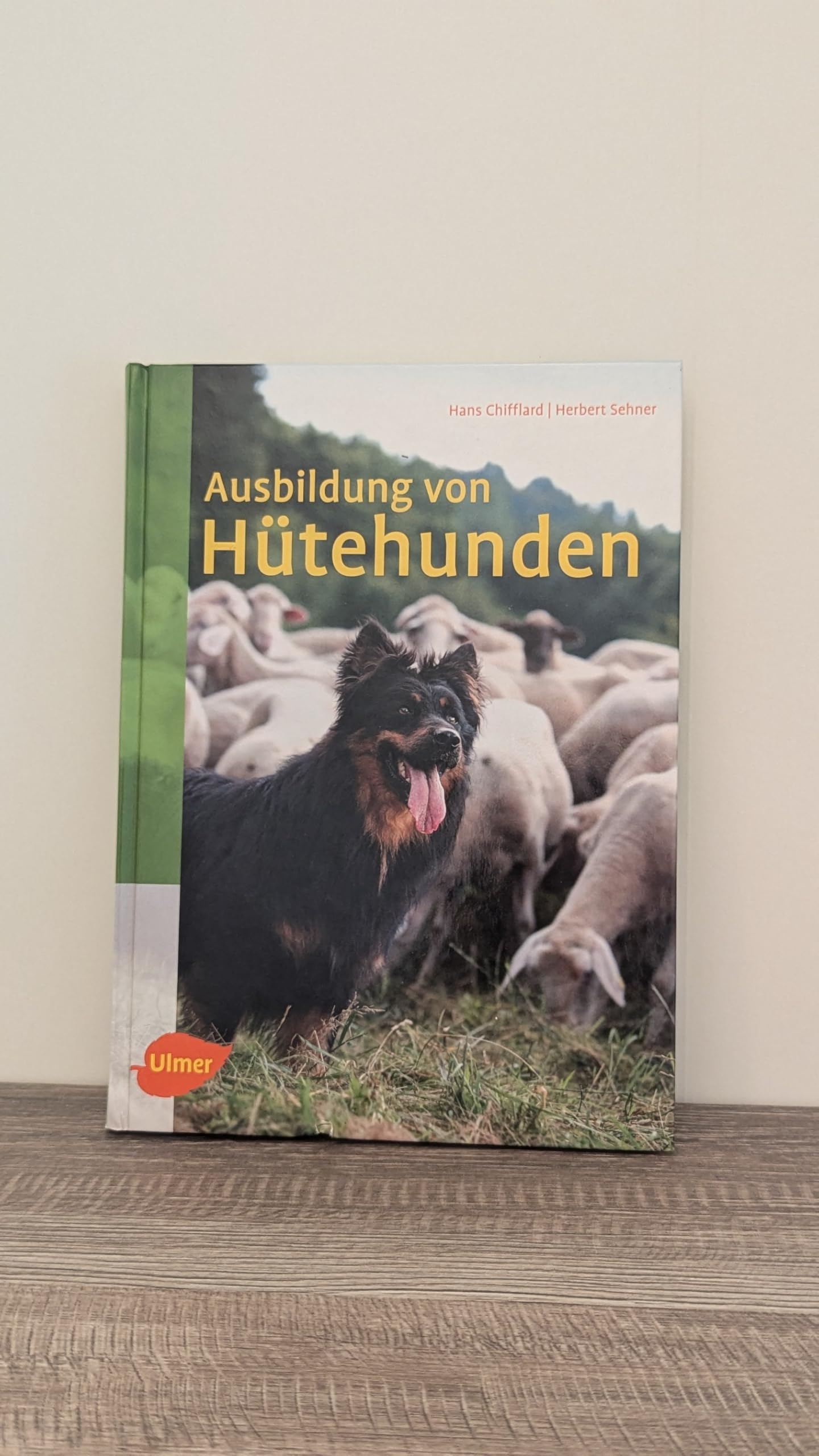 Ausbildung von Hütehunden Pets