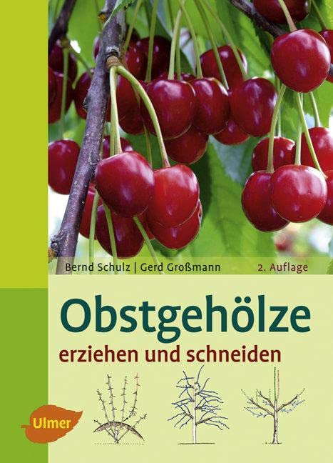 Obstgehölze erziehen und schneiden Garden & Plants