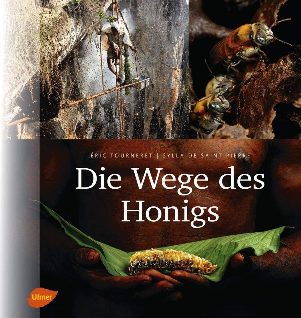 Die Wege des Honigs: Mit Vorworten von Jürgen Tautz und Jean Claude Ameisen Natural Sciences