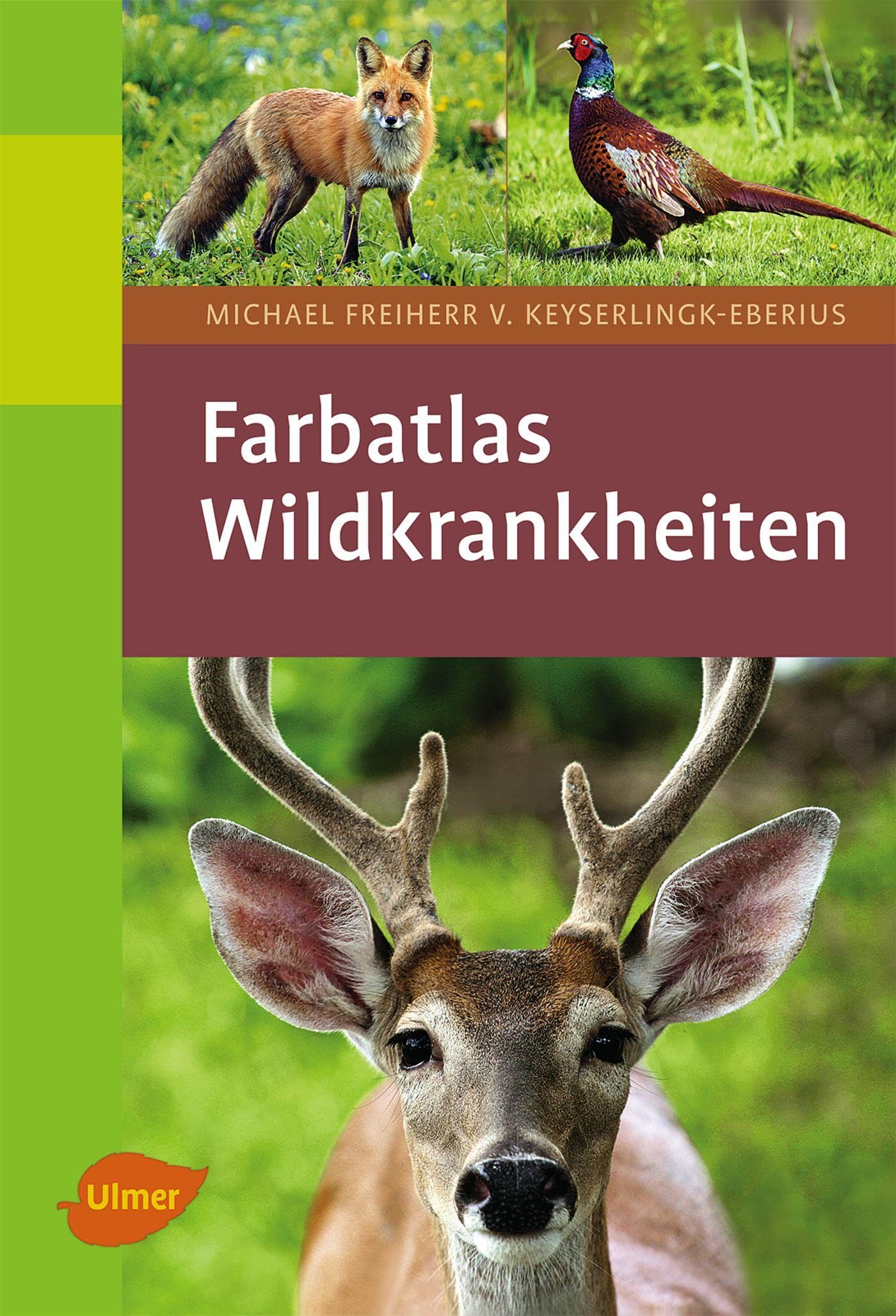 Wildkrankheiten Medicine