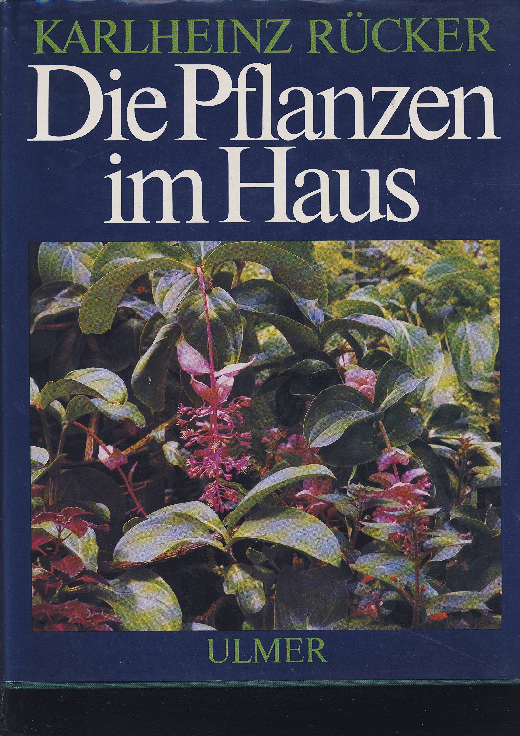 Die Pflanzen im Haus: Ein Handbuch für die erfolgreiche Pflege aller Zimmerpflanzen Leisure, Home & Garden