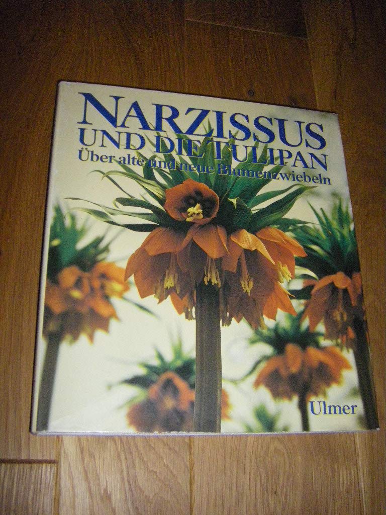 Narzissus und die Tulipan: Über alte und neue Blumenzwiebeln Leisure, Home & Garden