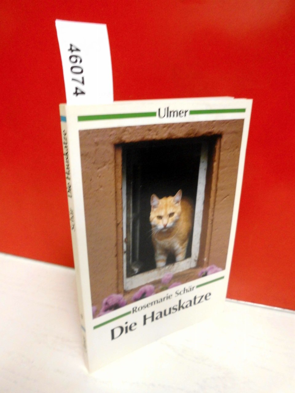 Die Hauskatze: Lebensweise und Ansprüche (Ulmer Taschenbücher) Pets