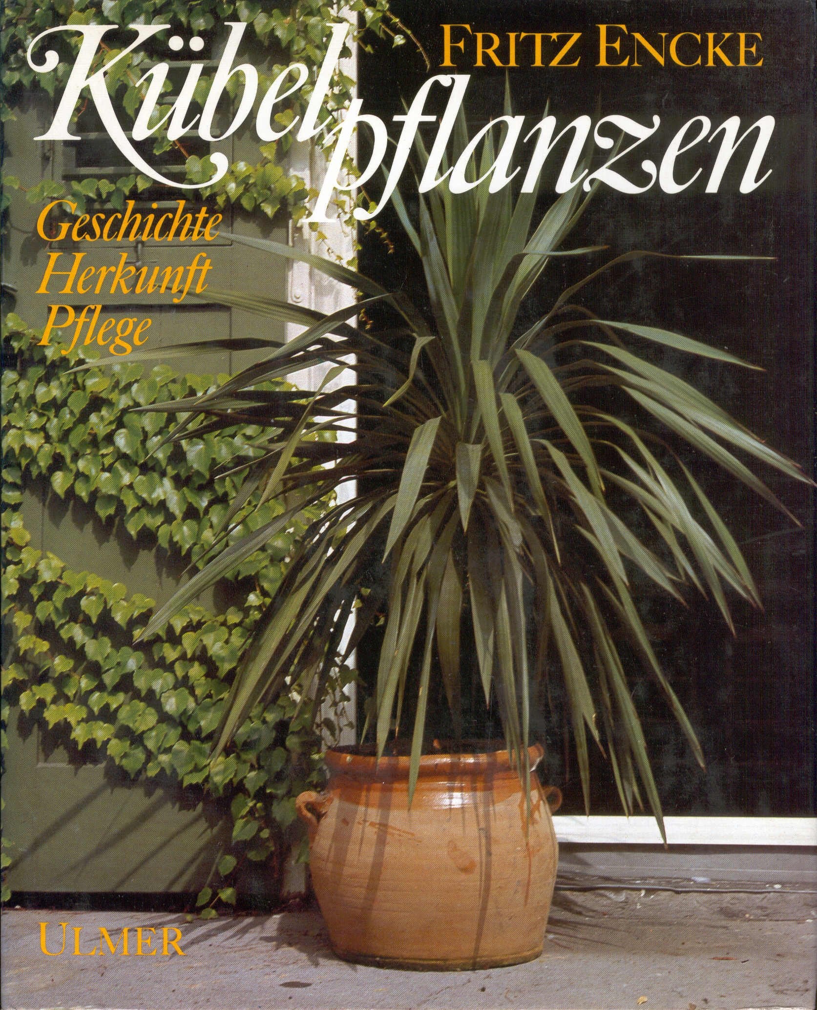 Kübelpflanzen: Geschichte, Herkunft, Pflege Garden & Plants