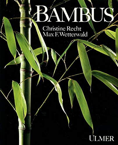 Bambus Garden & Plants