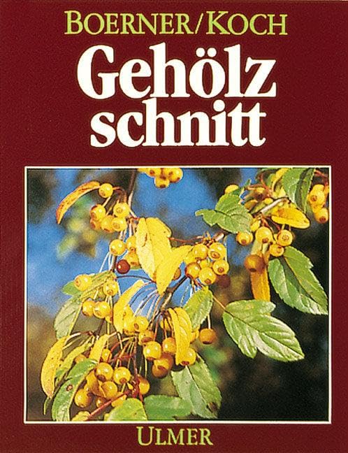 Gehölzschnitt Garden & Plants