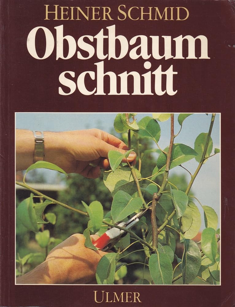 Obstbaumschnitt Garden & Plants