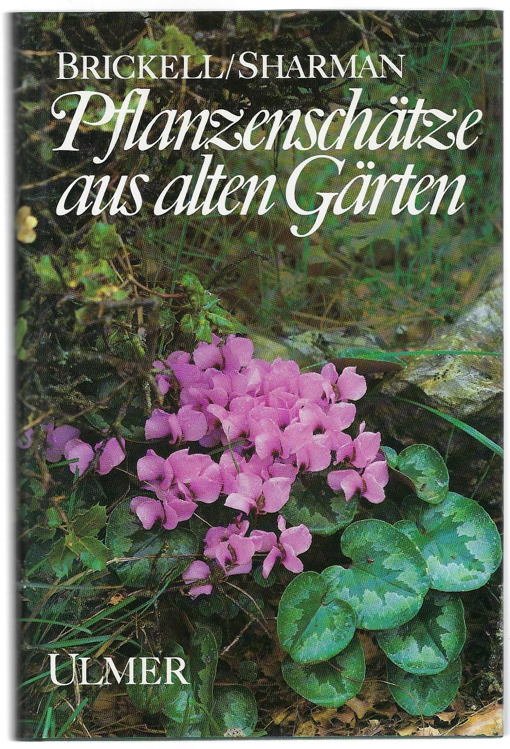 Pflanzenschätze aus alten Gärten Leisure, Home & Garden
