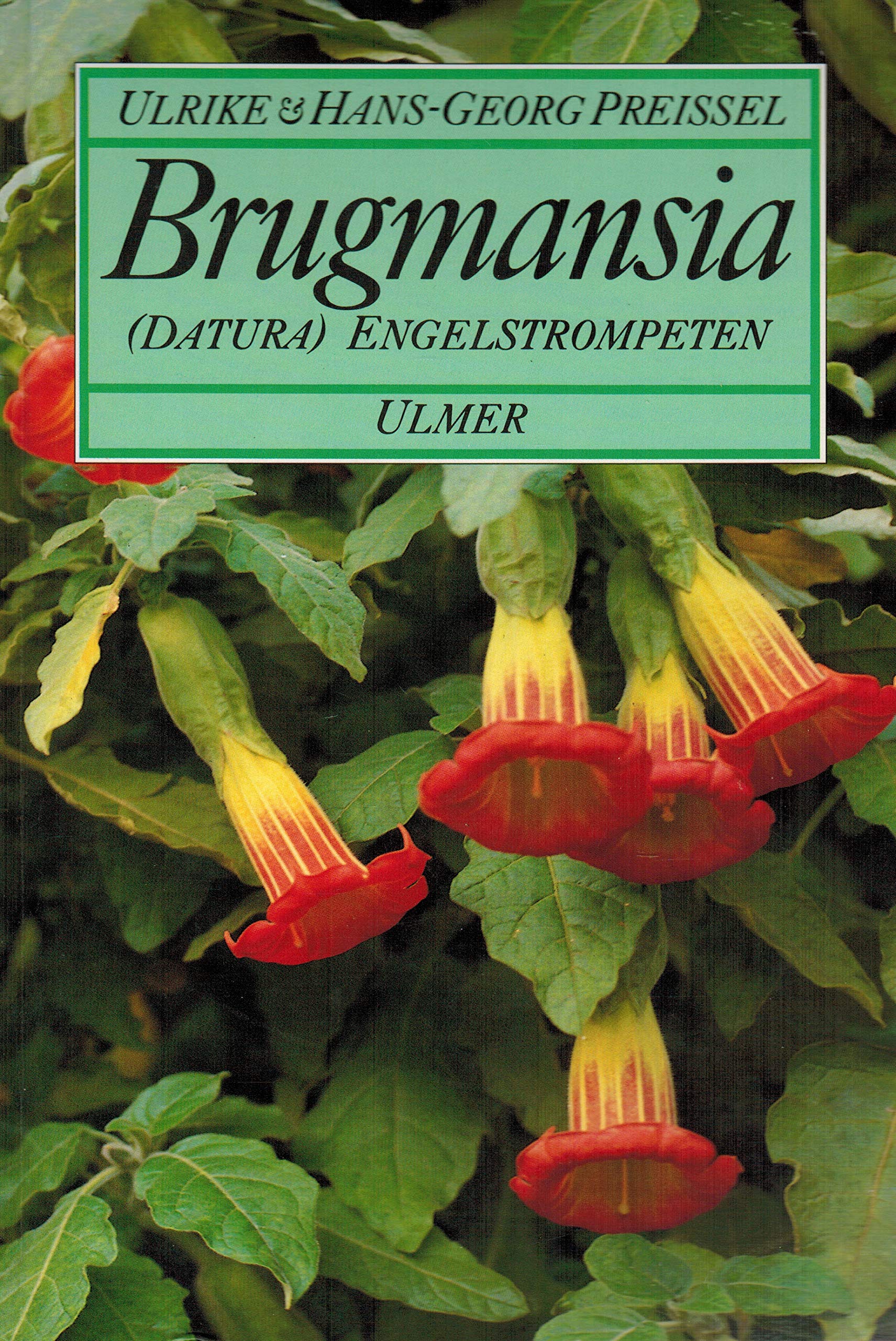 Brugmansia (Datura) - Engelstrompeten Natural Sciences