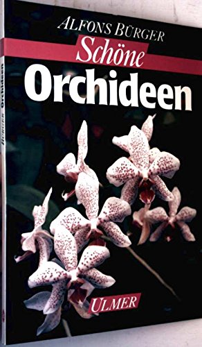 Product Image: Schöne Orchideen