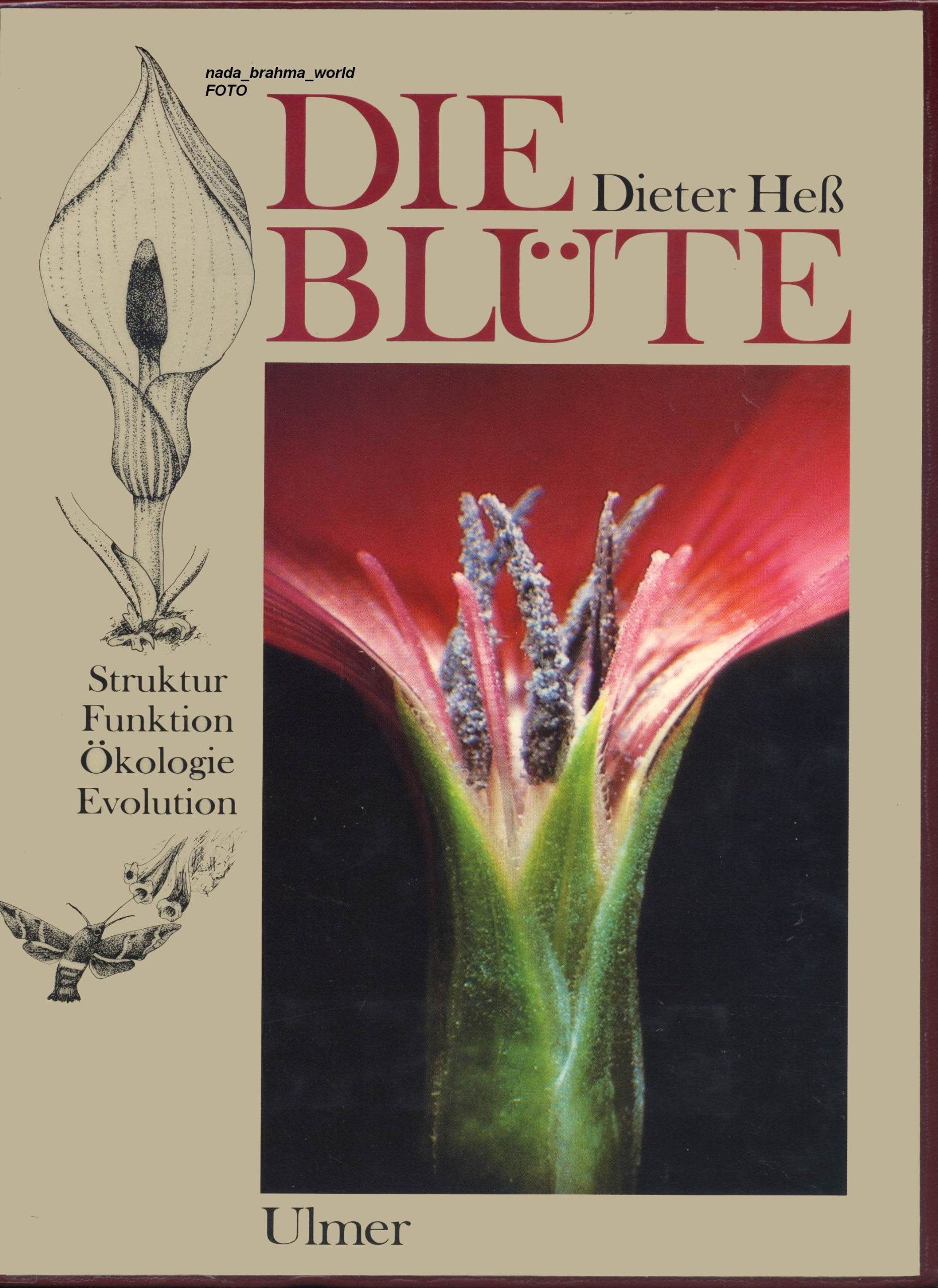 Die Blüte: Eine Einführung in Struktur und Funktion, Ökologie und Evolution der Blüten Natural Sciences