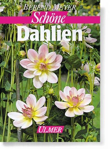 Schöne Dahlien Garden & Plants