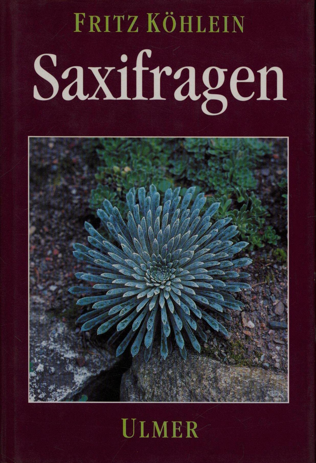 Saxifragen: und andere Steinbrechgewächse Garden & Plants