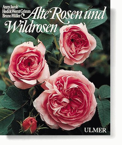 Alte Rosen und Wildrosen Garden & Plants