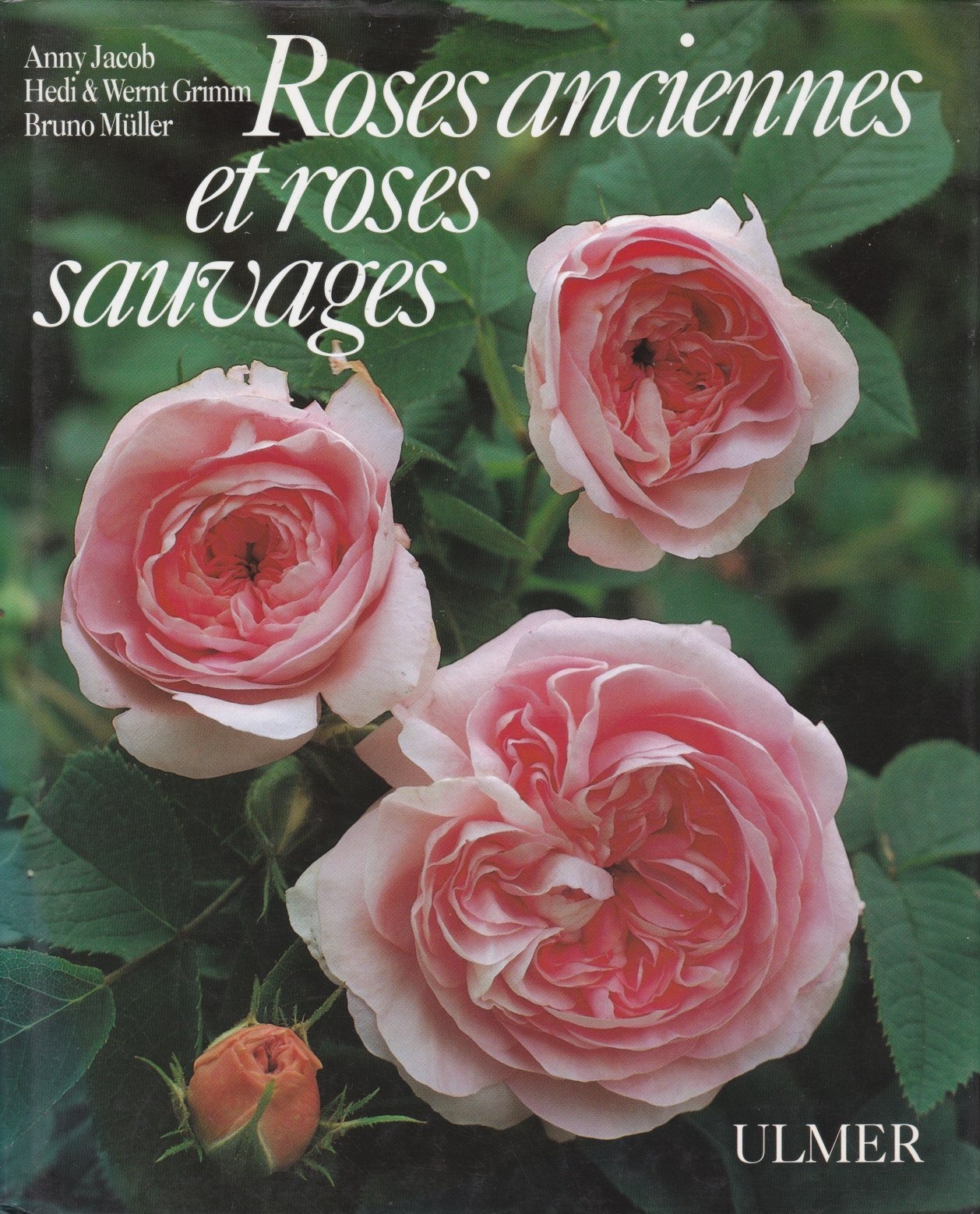 Roses anciennes et roses sauvages Books