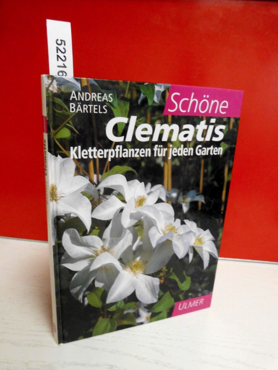 Schöne Clematis: Kletterpflanzen für jeden Garten Leisure, Home & Garden