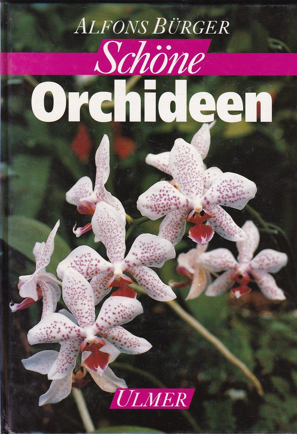 Product Image: Schöne Orchideen