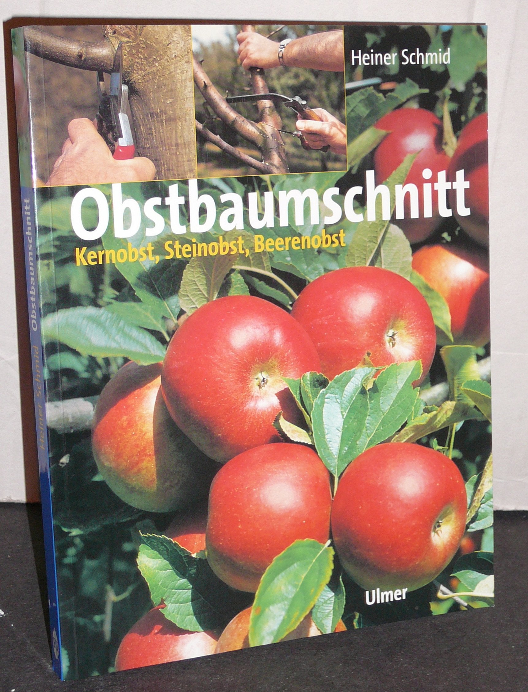 Obstbaumschnitt: Kernobst, Steinobst, Beerenobst Garden & Plants