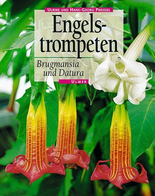 Engelstrompeten. Brugmansia und Datura Garden & Plants