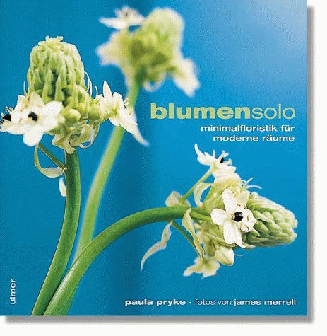 blumensolo - Minimalfloristik für moderne Räume Hobbies & Crafts