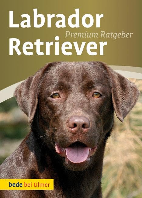 Product Image: Labrador Retriever