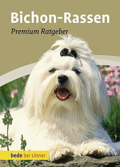 Bichon-Rassen Pets