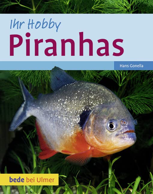 Piranhas Pets