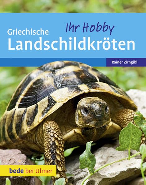 Griechische Landschildkröten Pets