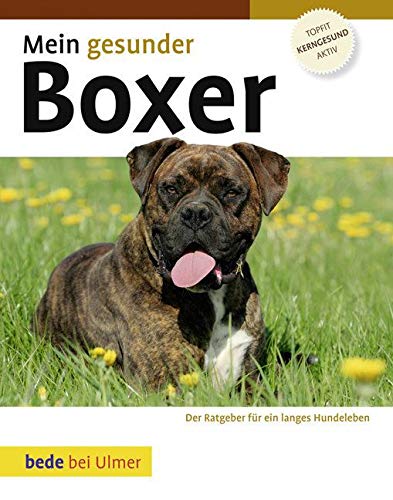 Mein gesunder Boxer Pets