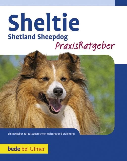 Sheltie: Shetland Sheepdog: Shetland Sheppdog Pets