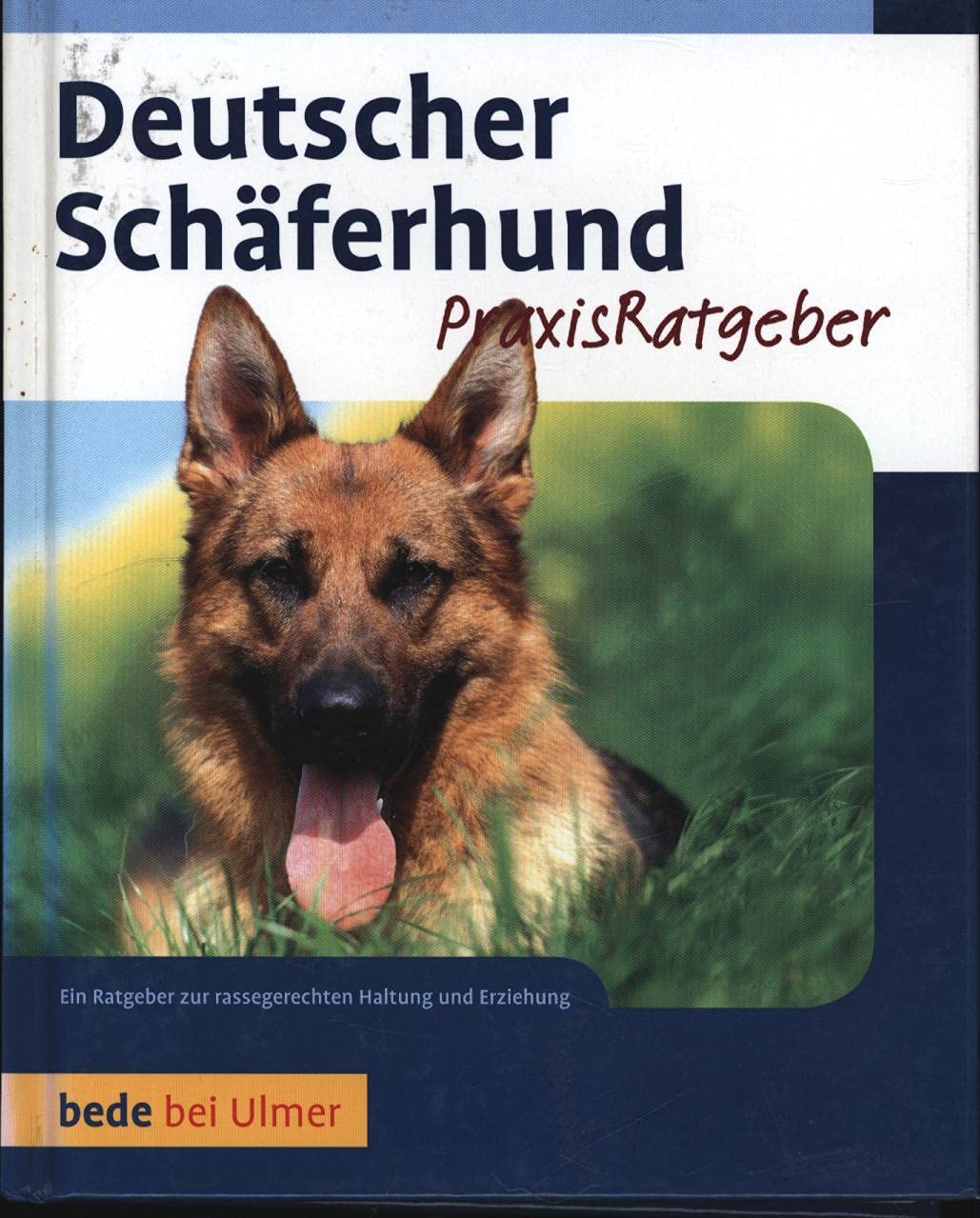 Deutscher Schäferhund Pets