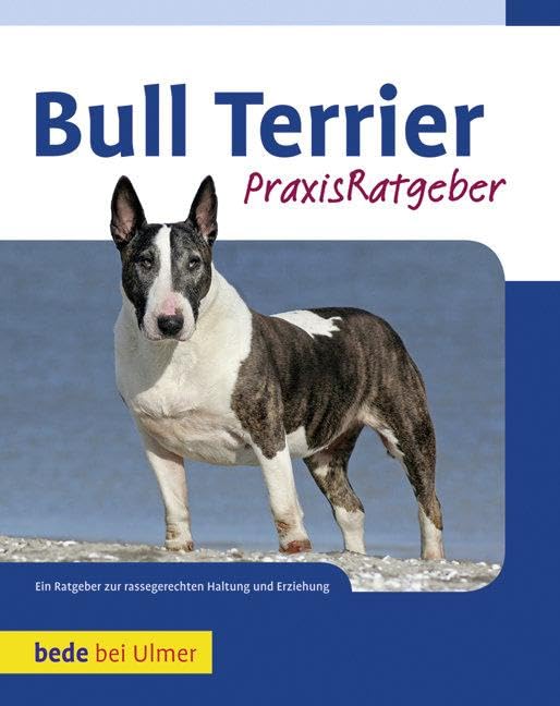 Bull Terrier Pets