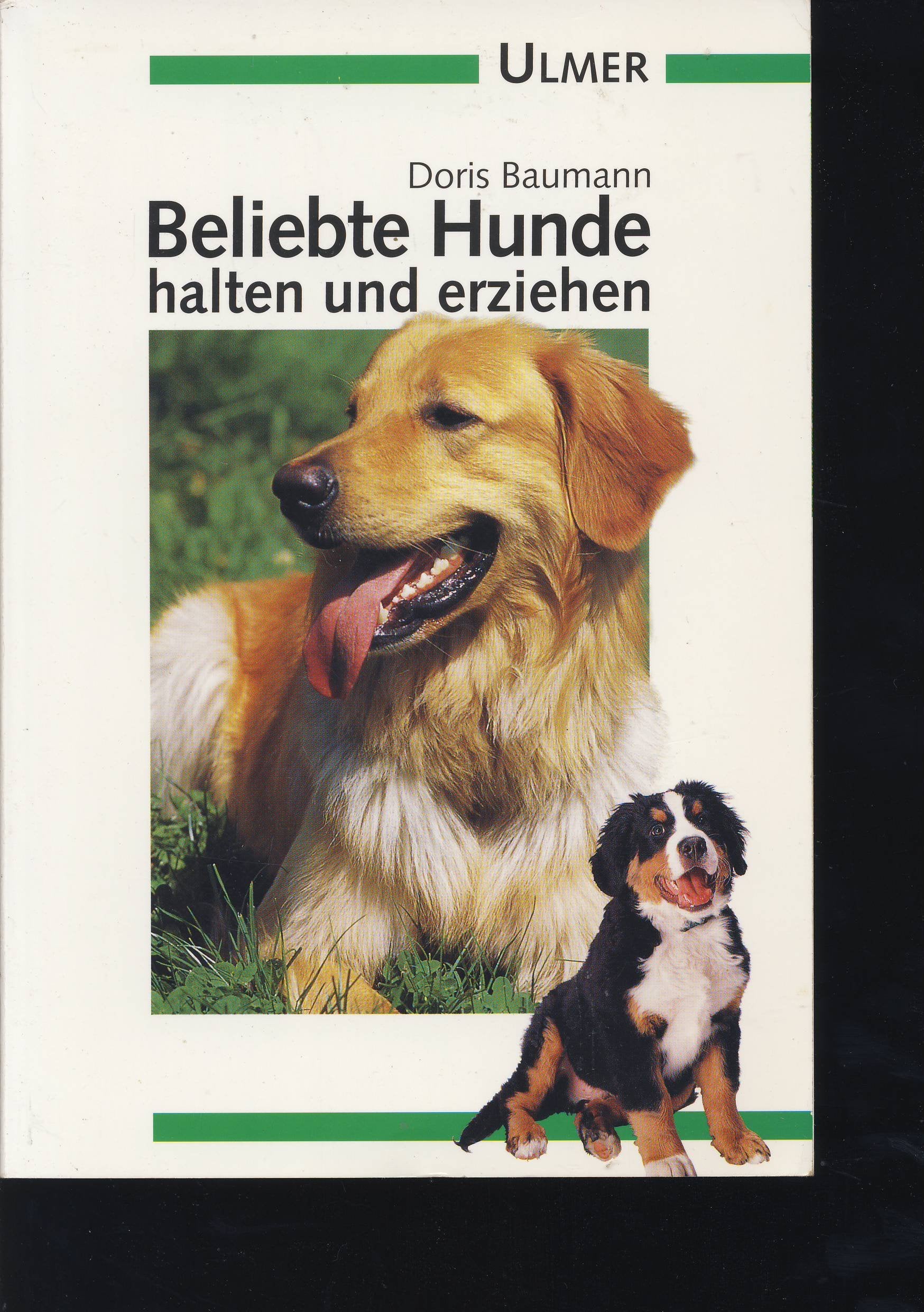 Beliebte Hunde: Halten und erziehen (Ulmer Taschenbücher) Books