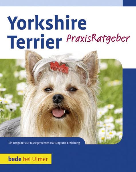 Yorkshire Terrier Pets