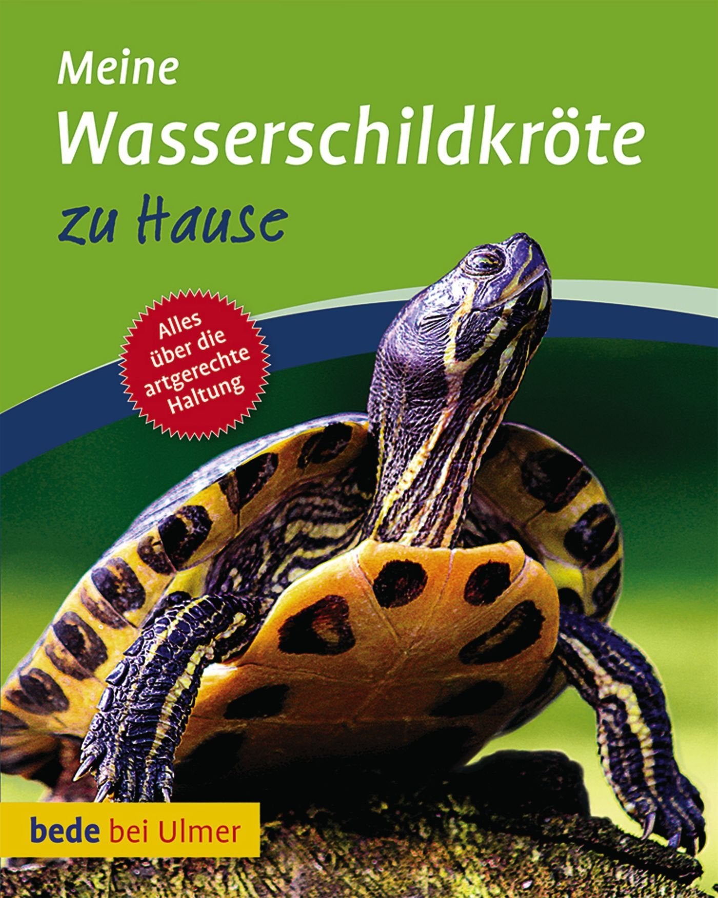 Meine Wasserschildkröte zu Hause Pets