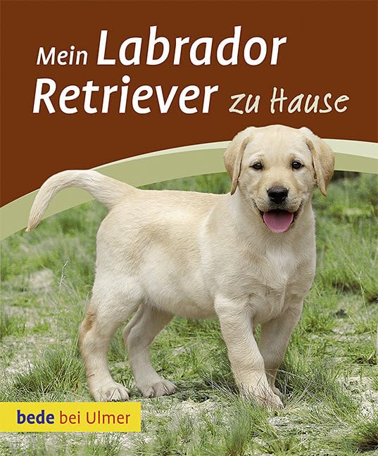 Mein Labrador Retriever zu Hause (bede Mein Heimtier zu Hause) Pets