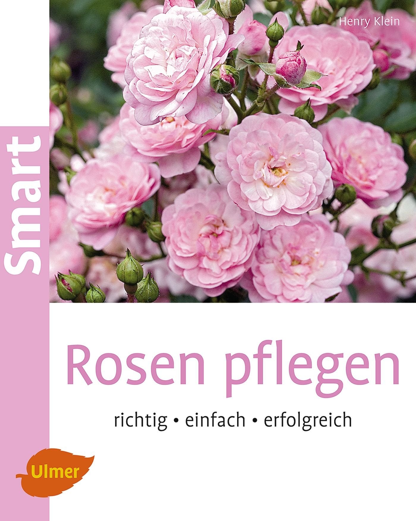 Rosen pflegen: Richtig, einfach, erfolgreich Garden & Plants