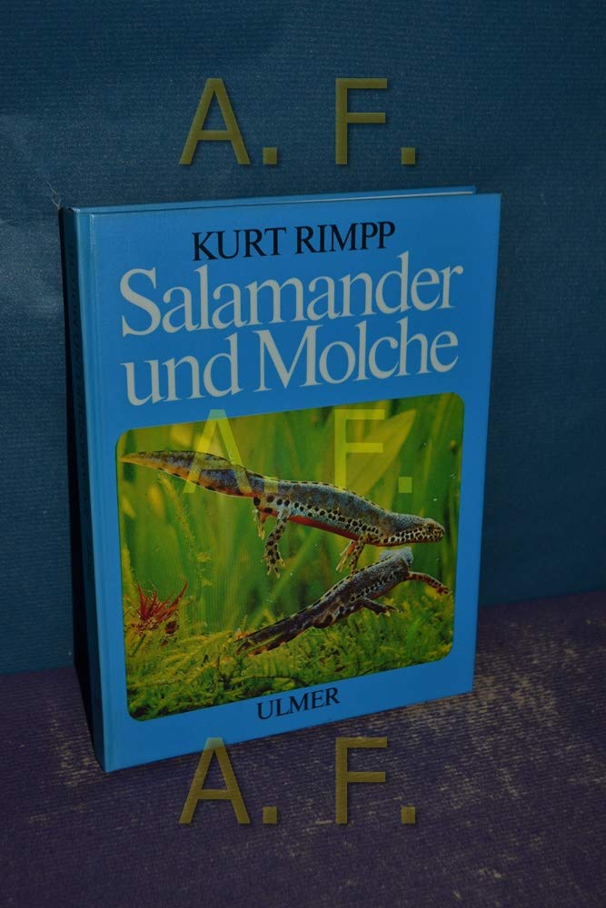 Salamander und Molche : Schwanzlurche im Terrarium. Pets